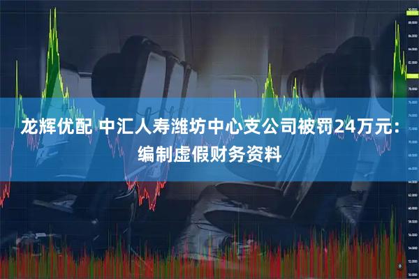 龙辉优配 中汇人寿潍坊中心支公司被罚24万元：编制虚假财务资料
