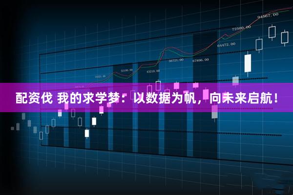 配资伐 我的求学梦：以数据为帆，向未来启航！