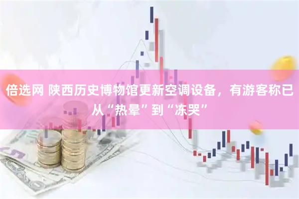 倍选网 陕西历史博物馆更新空调设备,有游客称已从“热晕”到“冻哭”
